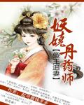妖娆丹药师:傻王追妻