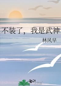 不装了,我是武神